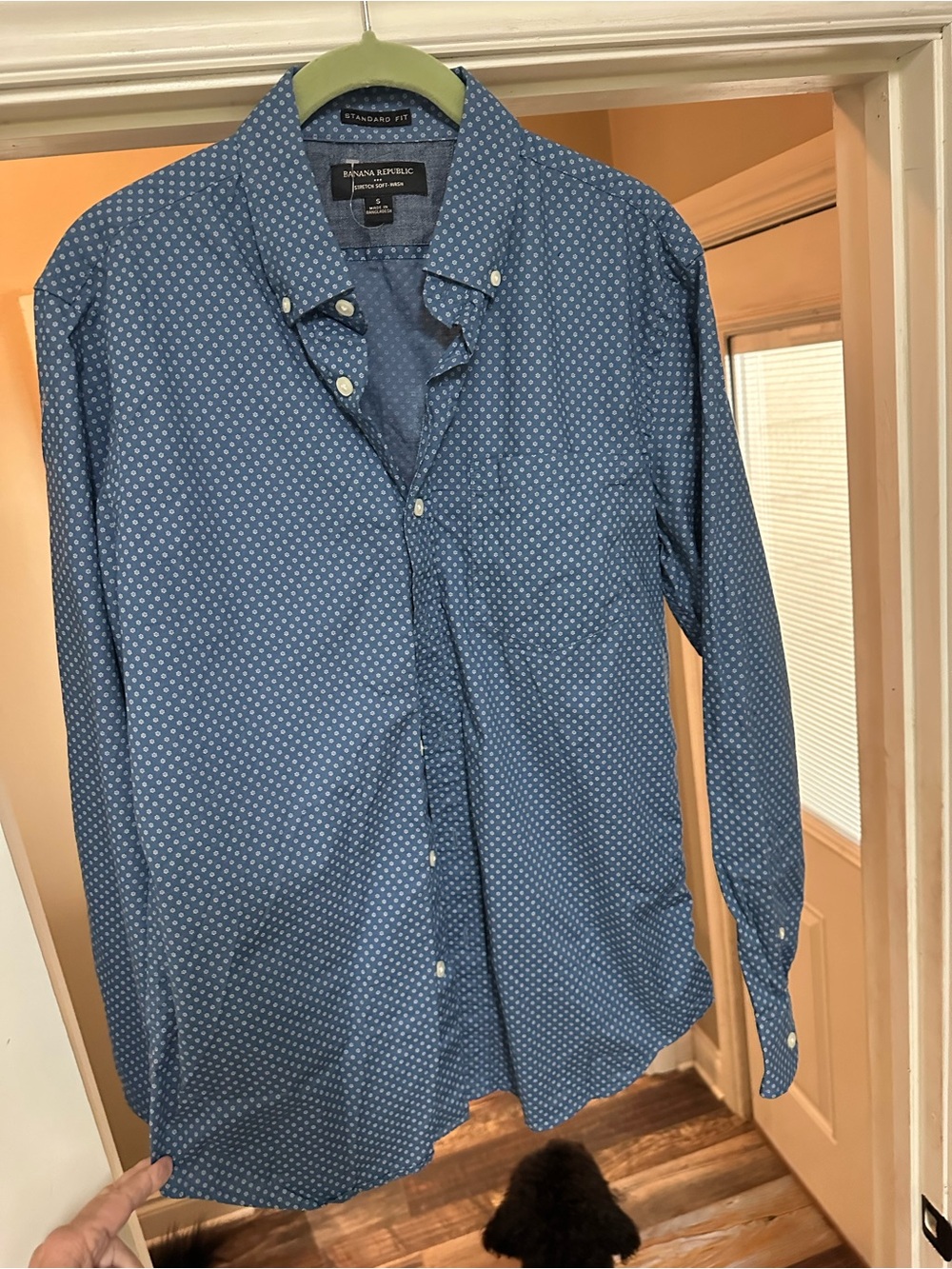Banana Republic Men's Blue Micro-Pattern Button-Down Shirt